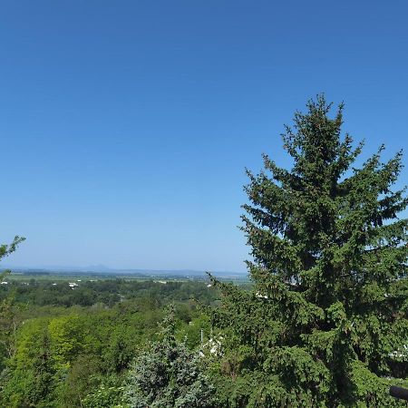Sunset House Piestany Cervena Veza Apartment Banka Екстериор снимка