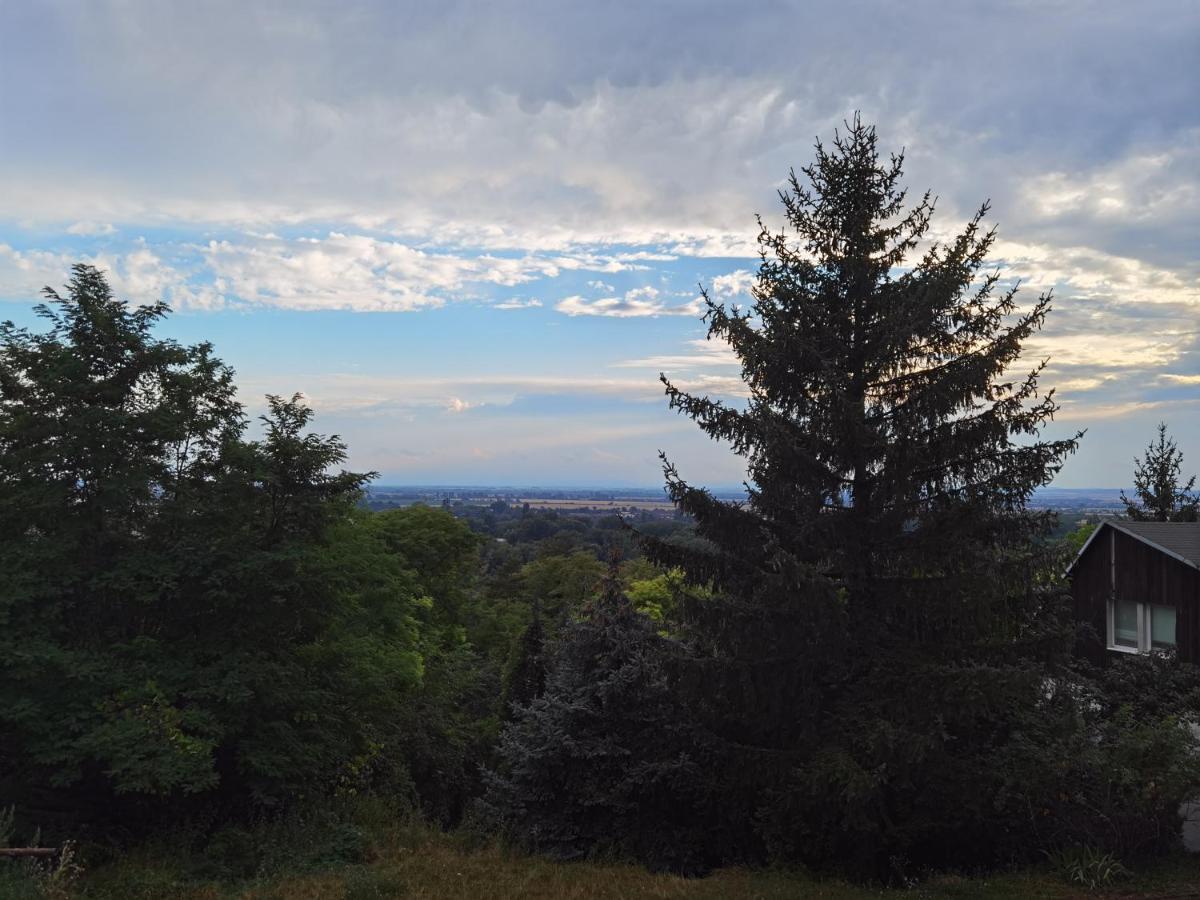 Sunset House Piestany Cervena Veza Apartment Banka Екстериор снимка