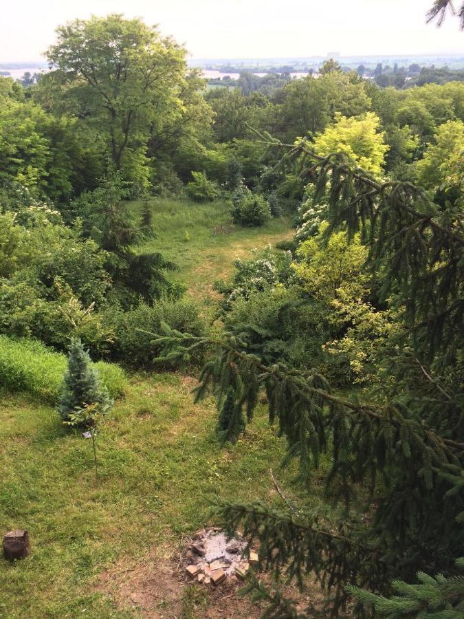 Sunset House Piestany Cervena Veza Apartment Banka Екстериор снимка